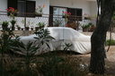 gal/cro 08/_thb_small-IMG_4584.JPG